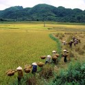 Tour Du Lịch Hà Nội - Mỹ Tho - Phan Thiết - Đà Lạt 6 Ngày